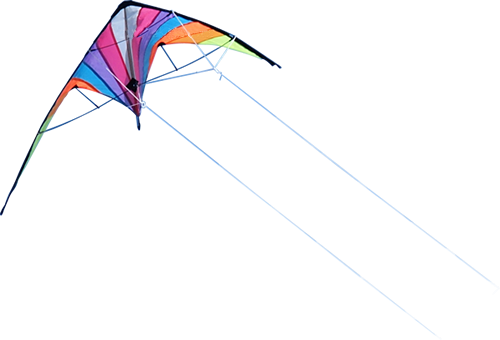 Kite